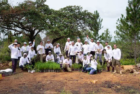 PlusTrees Team